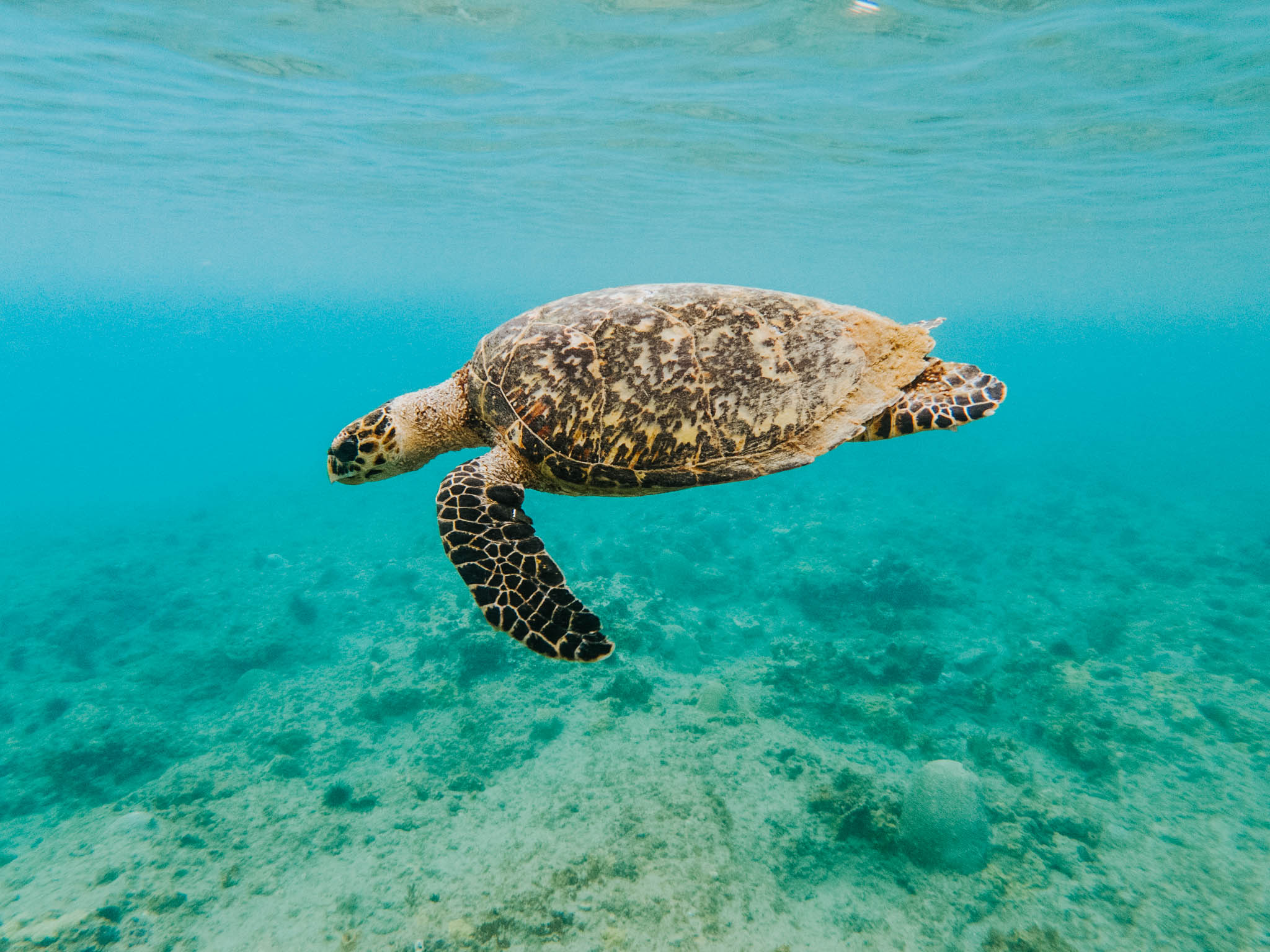 C:DCIM100GOPROGOPR1876.GPR