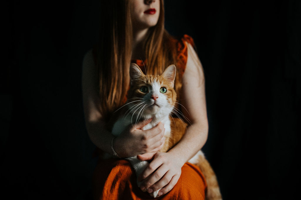 ChristmasPets-2